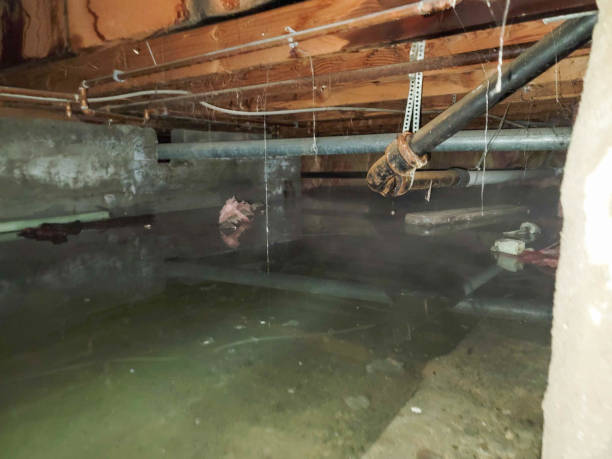 Best Water damage restoration near me  in Kingston Estates, NJ