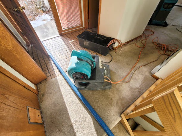 Best Water damage restoration near me  in Kingston Estates, NJ
