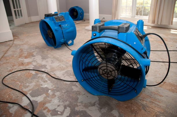  Kingston Estates, NJ Water damage restoration Pros