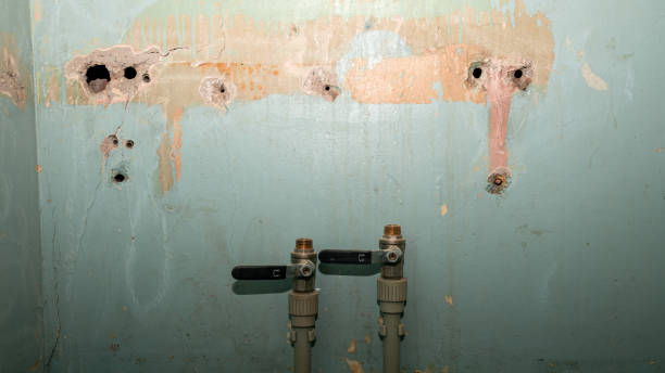 Best Commercial water damage restoration  in Kingston Estates, NJ