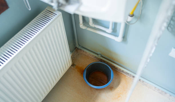 Best Basement water damage restoration  in Kingston Estates, NJ