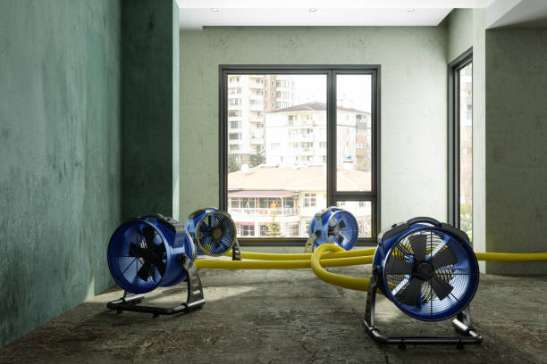 24/7 water damage repair in NJ